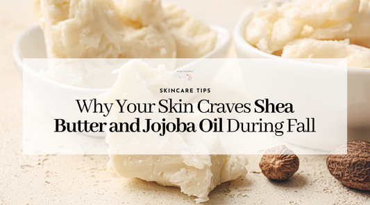 Fall Skincare Ingredients You Need to Know: Why Your Skin Craves Shea Butter and Jojoba Oil